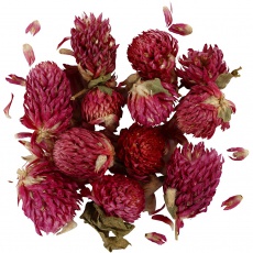 Trockenblumen, Rotes Kleeblatt, L 1,5-2,5 cm, D 1 - 1,5 cm, 15 g, Flieder, 1 Pck