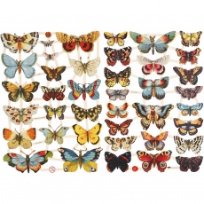 Vintage-Glanzbilder, Schmetterlinge, 16,5x23,5 cm, 2 Bl./ 1 Pck