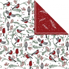Design-Papier, Vögel & Zweige, Blatt 30,5x30,5 cm, 180 g, 5 Bl./ 1 Pck