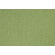 Französischer Karton, A4, Blatt 210x297 mm, 160 g, Apple Green, 1 Bl.