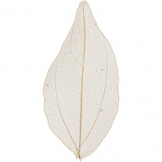 Laubblätter, L 4,5-8 cm, Natur, 20 Stk/ 1 Pck