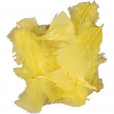 Daunen, Größe 7-8 cm, Gelb, 50 g/ 1 Pck