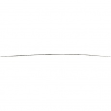 Perlennadel, L 6 cm, Dicke 0,3 mm, 5 Stk/ 1 Pck