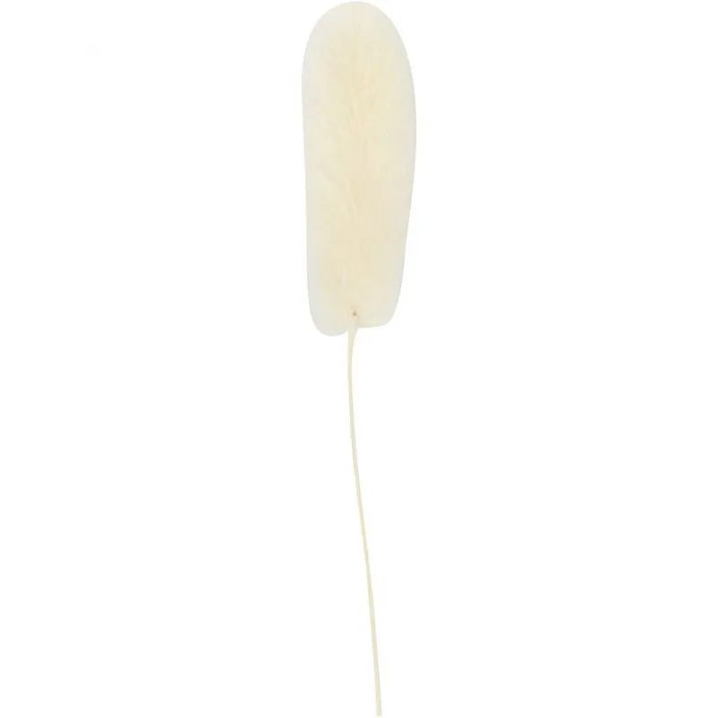 Samtgras, L 3-7 cm, 6 Stk/ 1 Pck
