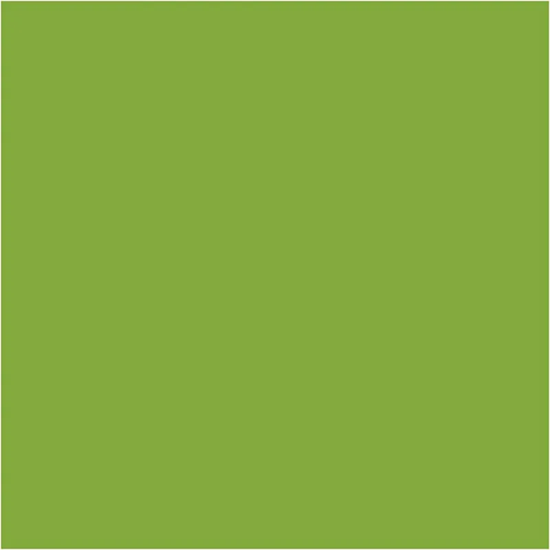 edu Green Jumbo-Buntstifte, Mine 5 mm, Hellgrün, 10 Stk/ 1 Pck