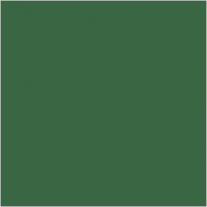 Outdoor-Farbe, seidenmatte, Grün, 250 ml/ 1 Fl.
