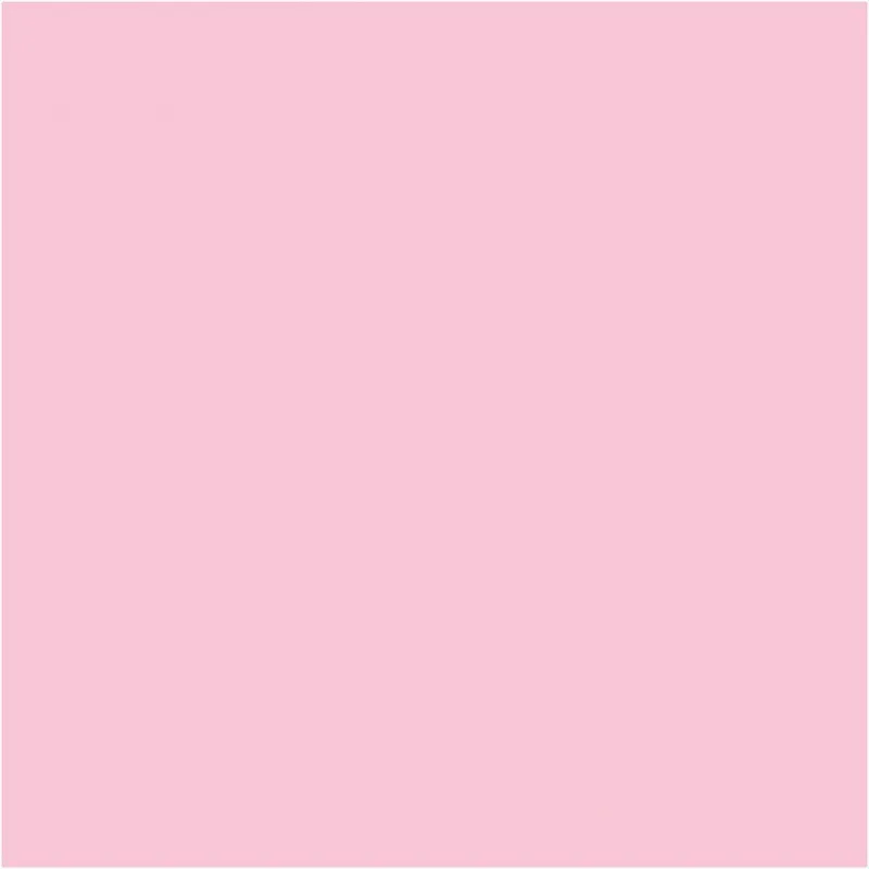 Karton, Blatt 50x70 cm, 270 g, Hellpink, 10 Bl./ 1 Pck