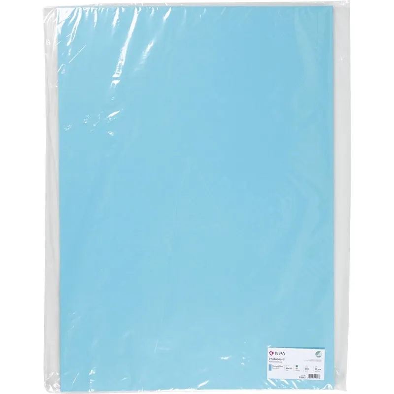 Karton, einfärbig, Blatt 50x70 cm, 270 g, Hellblau, 10 Bl./ 1 Pck