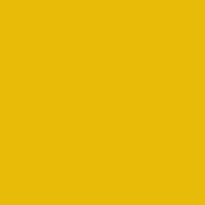 Outdoor-Farbe, seidenmatte, Deckend, Gelb, 250 ml/ 1 Fl.