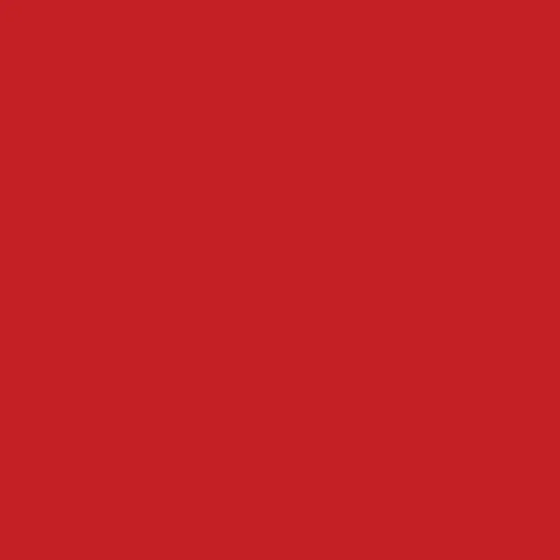 Outdoor-Farbe, seidenmatte, Deckend, Rot, 250 ml/ 1 Fl.
