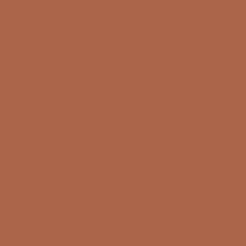 Outdoor-Farbe, seidenmatte, Deckend, Antikrot, 250 ml/ 1 Fl.