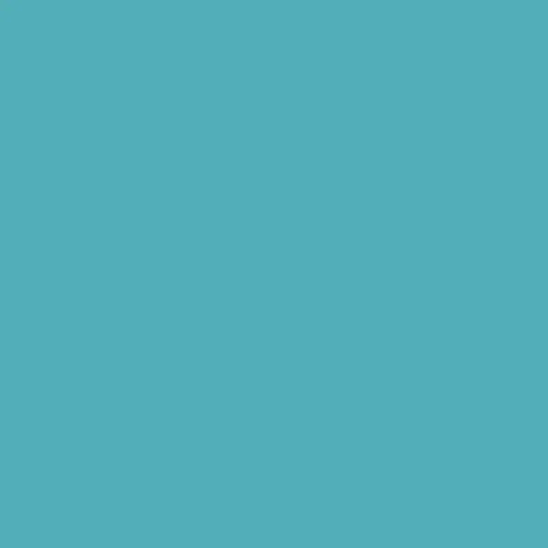 Outdoor-Farbe, seidenmatte, Deckend, Türkisblau, 250 ml/ 1 Fl.