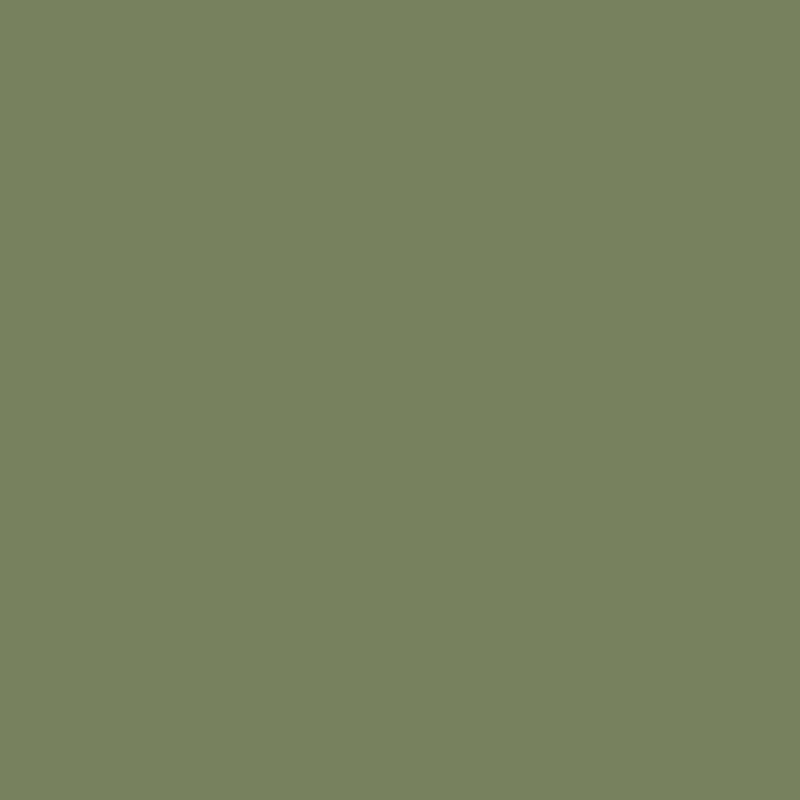 Outdoor-Farbe, seidenmatte, Deckend, Olivgrün, 250 ml/ 1 Fl.