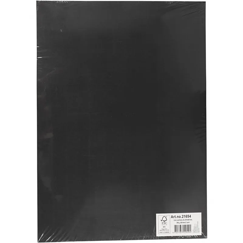 Karton, einfärbig, A3, Blatt 297x420 mm, 200 g, Schwarz, 100 Bl./ 1 Pck