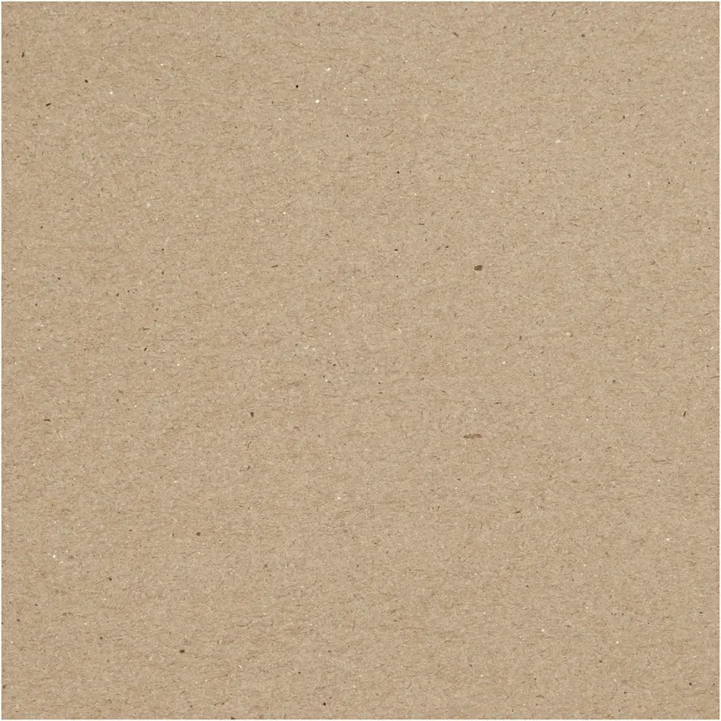 Karton, A4, Blatt 210x297 mm, 220 g, 10 Bl./ 1 Pck
