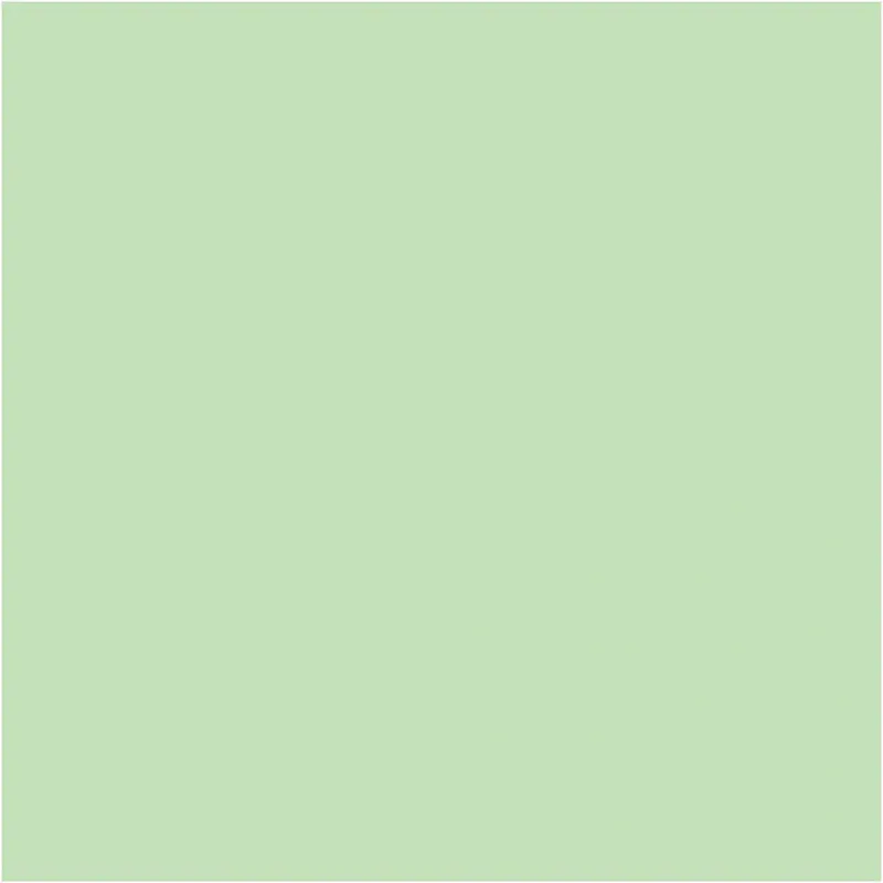 Karton, A4, Blatt 210x297 mm, 220 g, Hellgrün, 10 Bl./ 1 Pck