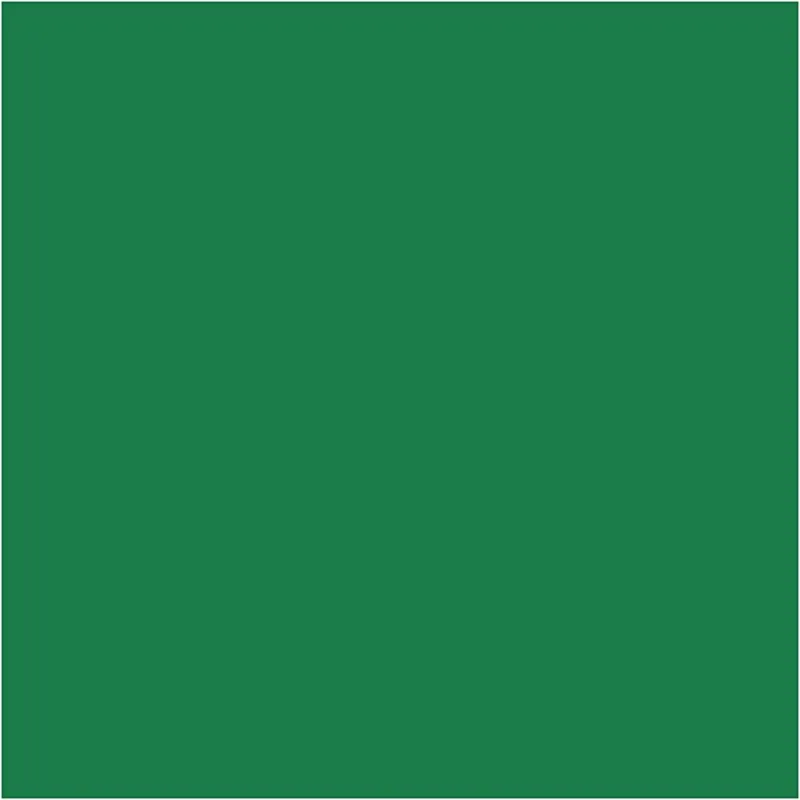Glanzpapier, Blatt 32x48 cm, 80 g, Grün, 25 Bl./ 1 Pck