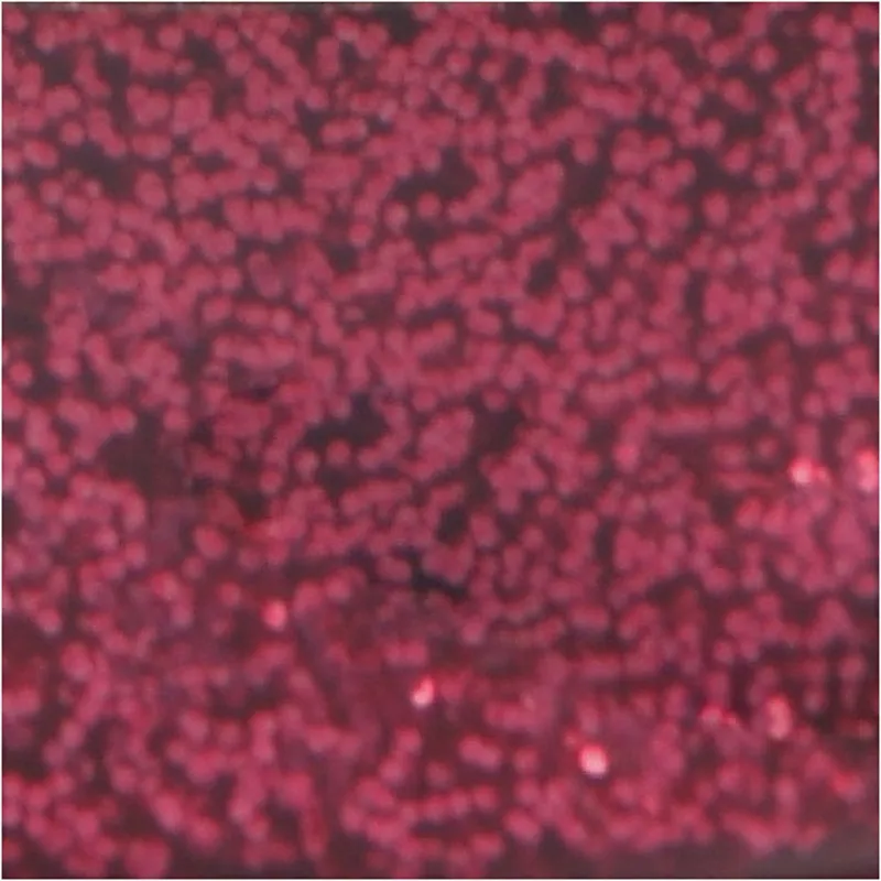 Glitzerkleber, Pink, 25 ml/ 1 Fl.