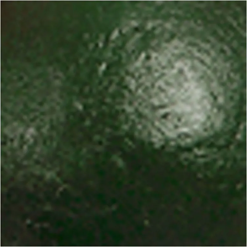 Acrylfarbe, glänzend, Dunkelgrün, 500 ml/ 1 Fl.