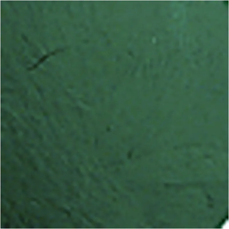Acrylfarbe Matt, Dunkelgrün, 500 ml/ 1 Fl.