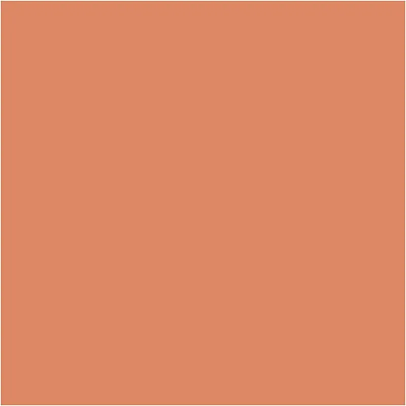 CARAN D’ACHE Neocolor I - Ölkreide, L 10 cm, Dicke 8,5 mm, Lachsfarbig (051), 10 Stk/ 1 Pck