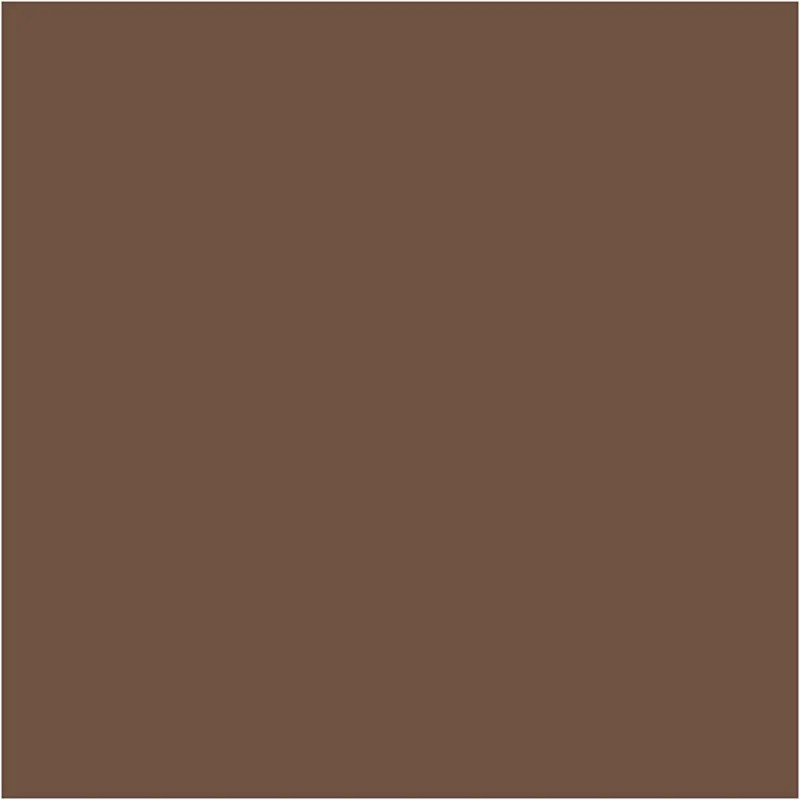 CARAN D’ACHE Neocolor I - Ölkreide, L 10 cm, Dicke 8,5 mm, Braun (059), 10 Stk/ 1 Pck