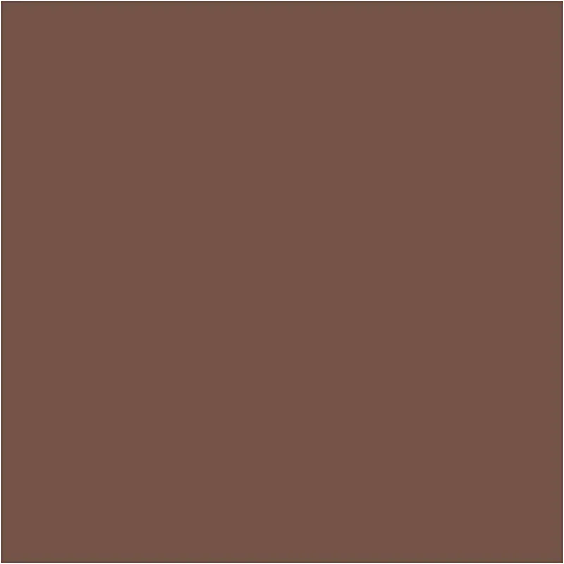 CARAN D’ACHE Neocolor II, L 10 cm, Dicke 8,5 mm, Braun (059), 10 Stk/ 1 Pck