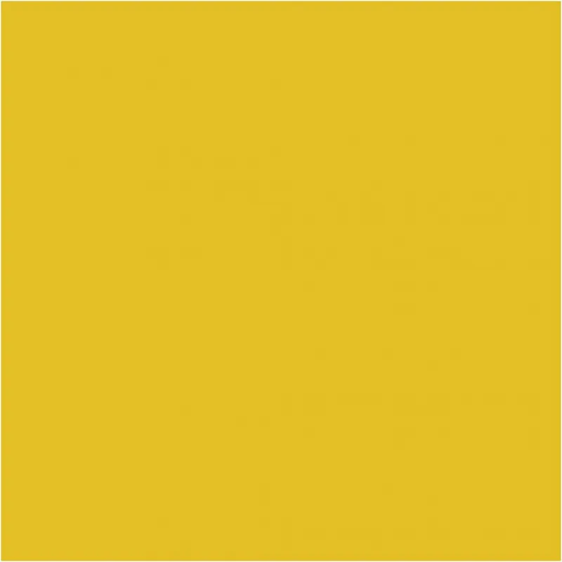 BIC Visa Color Filzstifte, Strichstärke 3 mm, Gelb, 12 Stk/ 1 Pck