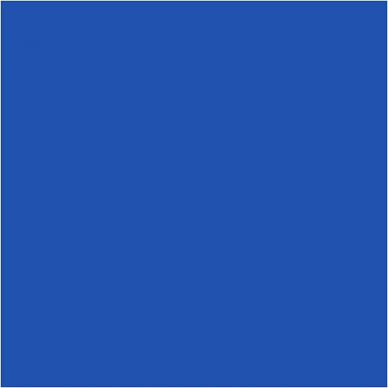 BIC Visa Color Filzstifte, Strichstärke 3 mm, Dunkelblau, 12 Stk/ 1 Pck