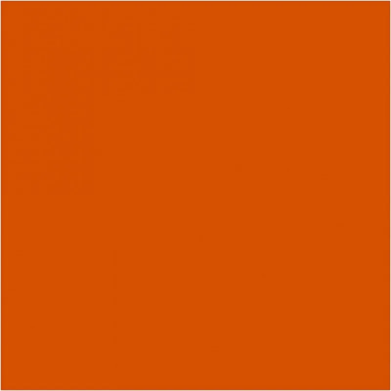 BIC Visa Color Filzstifte, Strichstärke 3 mm, Mittelorange, 12 Stk/ 1 Pck