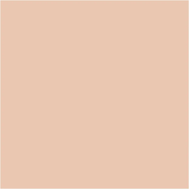 BIC Visa Color Filzstifte, Strichstärke 3 mm, Hellbeige, 12 Stk/ 1 Pck