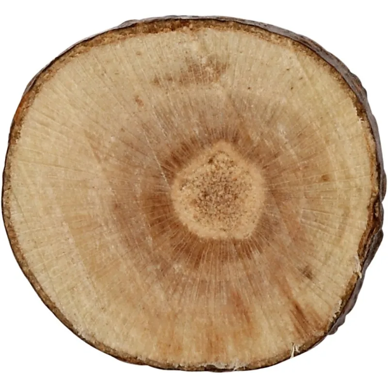 Holzscheiben-Mix, D 10-15 mm, Dicke 5 mm, 230 g/ 1 Pck