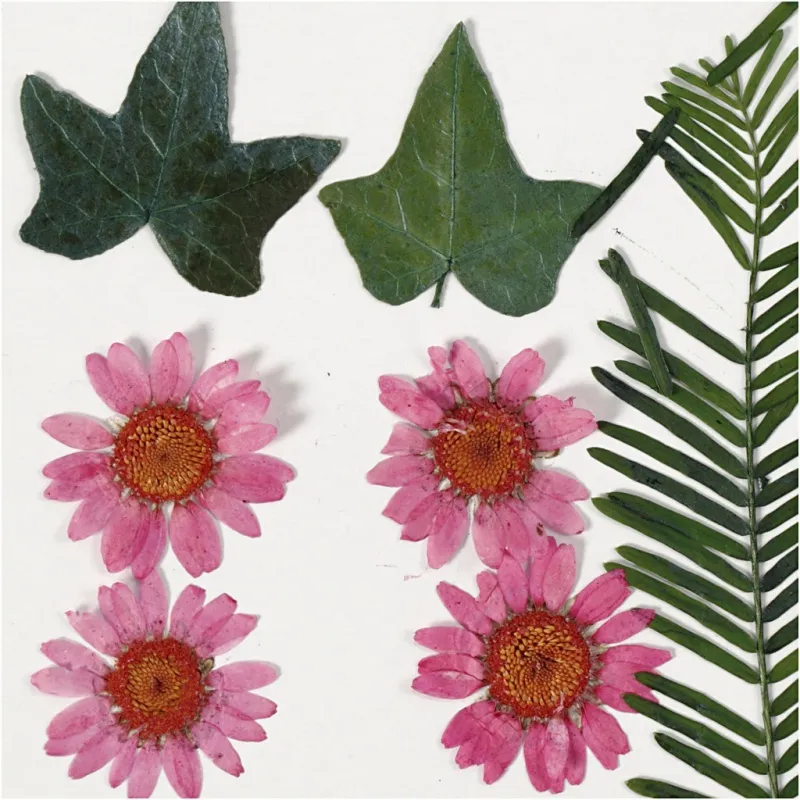 Gepresste Blüten und Blätter, ca. 19 Stk, Rosa, 1 Pck