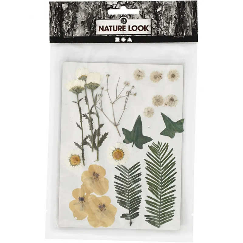 Gepresste Blüten und Blätter, ca. 19 Stk, Naturweiß, 1 Pck