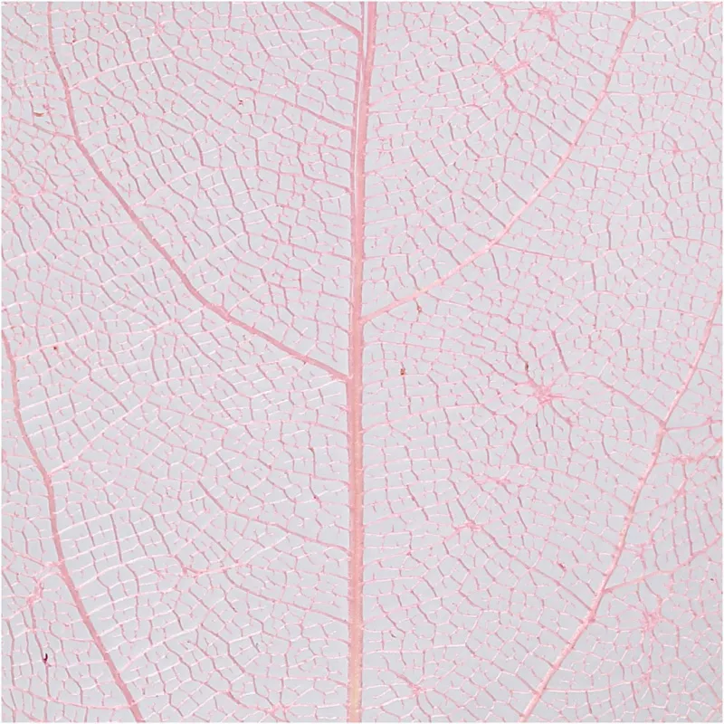 Laubblätter, L 6-8 cm, Rosa, 20 Stk/ 1 Pck