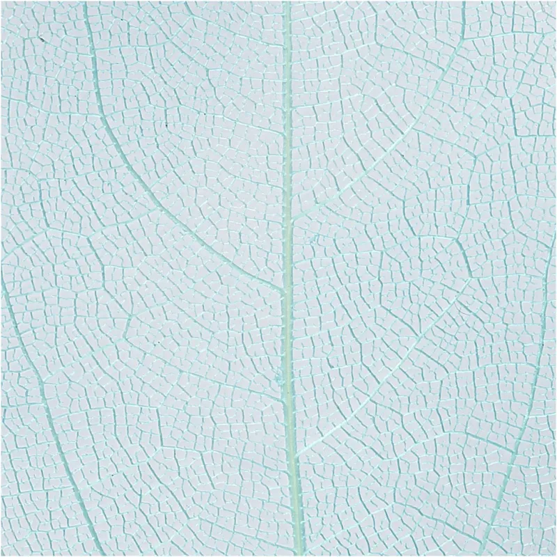 Laubblätter, L 6-8 cm, Hellblau, 20 Stk/ 1 Pck