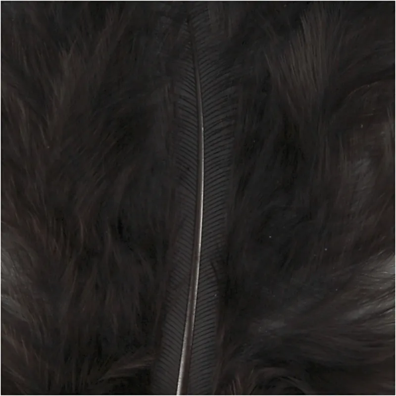 Daunen, Größe 5-12 cm, Schwarz, 15 Stk/ 1 Pck