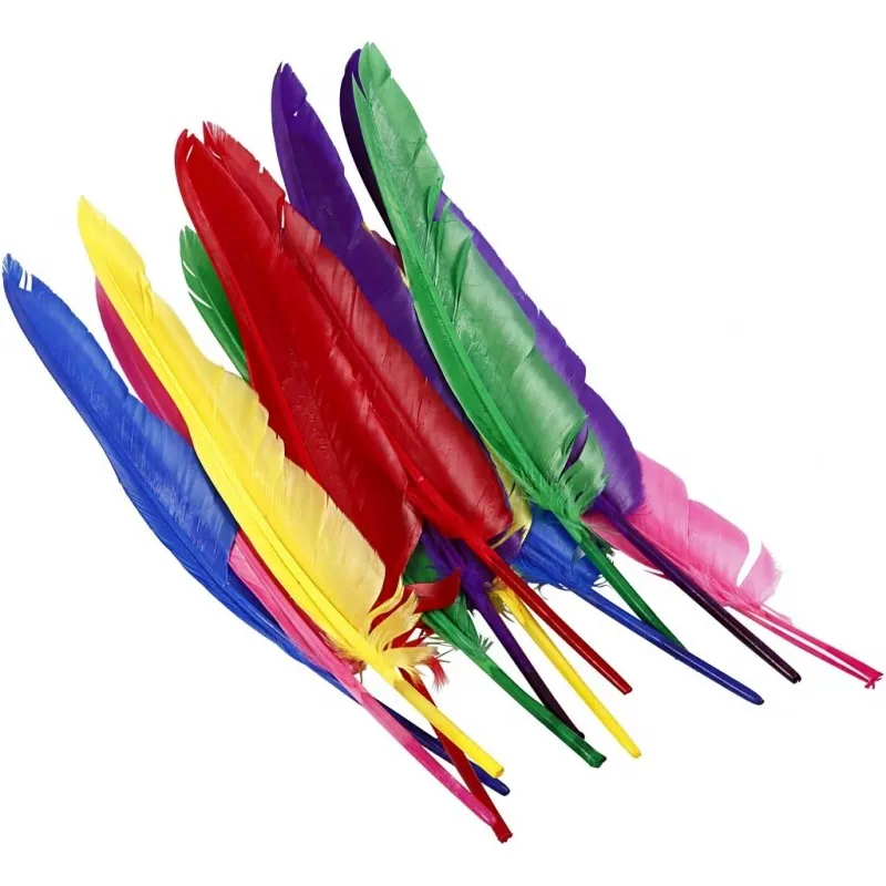 Federn, L 27 cm, Sortierte Farben, 12 Stk/ 1 Pck