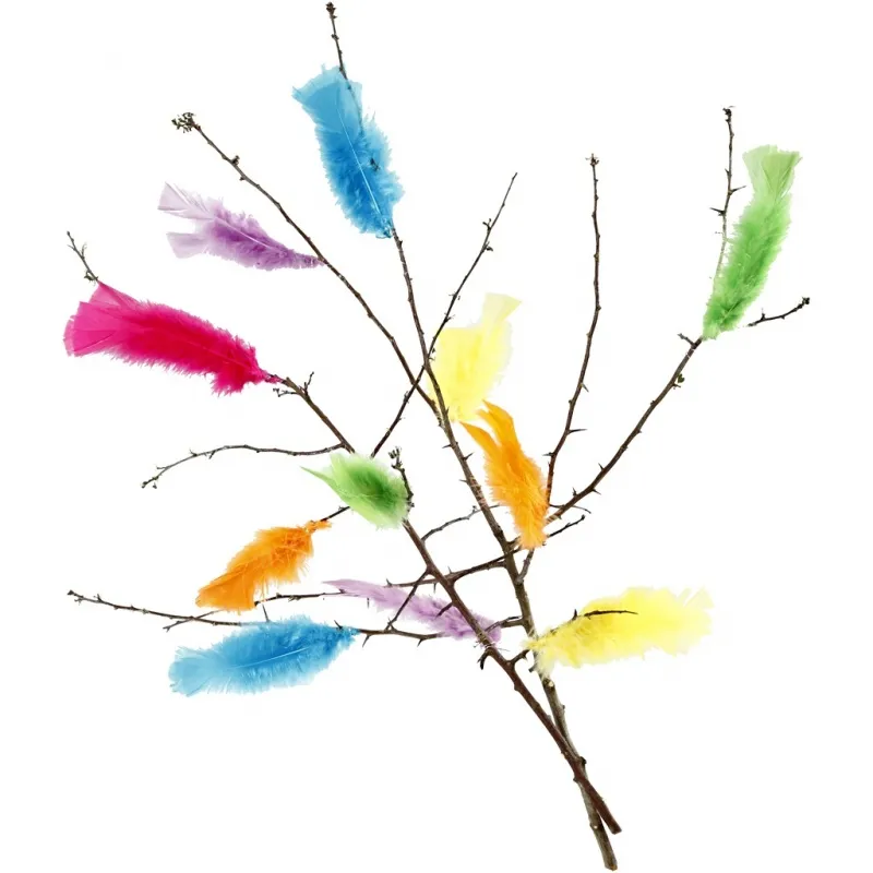 Federn, Größe 11-17 cm, Sortierte Farben, 18 Bündl./ 1 Pck