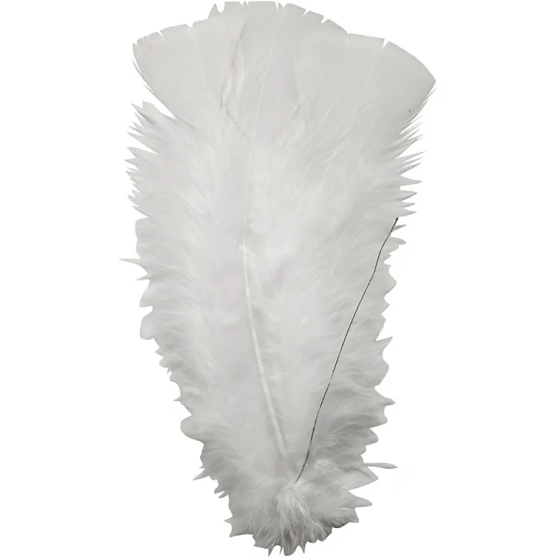 Federn, Größe 11-17 cm, Weiß, 18 Bündl./ 1 Pck
