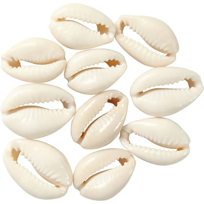 Muschelperlen, L 20 mm, 12 Stk/ 1 Pck