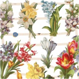 Vintage-Glanzbilder, Frühlingsblumen, Blatt 16,5x23,5 cm, 2 Bl./ 1 Pck
