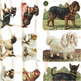 Vintage-Glanzbilder, Hunde, Blatt 16,5x23,5 cm, 2 Bl./ 1 Pck
