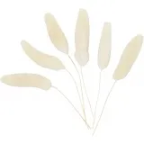 Samtgras, L 3-7 cm, 6 Stk/ 1 Pck