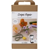 Starter Kreativ Set Krepppapier, 105 g, Sortierte Farben, 1 Pck