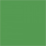 Karton, farbig, 50x70 cm, 270 g, Grasgrün, 100 Bl./ 1 Pck