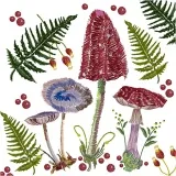 Servietten, Herbstpilze, Größe 33x33 cm, 20 Stk/ 1 Pck