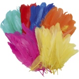 Federn, L 8-14 cm, Sortierte Farben, 120 Stk/ 1 Btl.