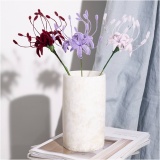 Mini Kreativ Set Blumen aus Pfeifenreiniger, Spinnenlilie, Rosa mattiert, Helllila, Dunkelrot, 1 Pck