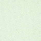 Karton, A4, Blatt 210x297 mm, 220 g, Hellgrün, 10 Stk/ 1 Pck